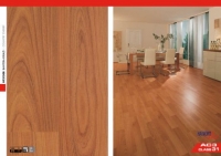 31508-BAVYERA KİRAZI